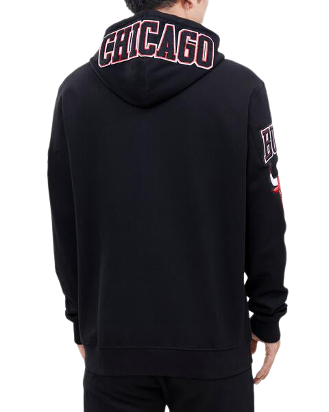 Pro Standard Chicago Bulls Logo Zipper Hoody product image 2, provided for visual reference and product detail review