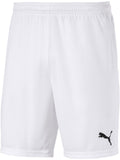 Puma Teamgoal 23 Knit Shorts-White product image 1, provided for visual reference and product detail review