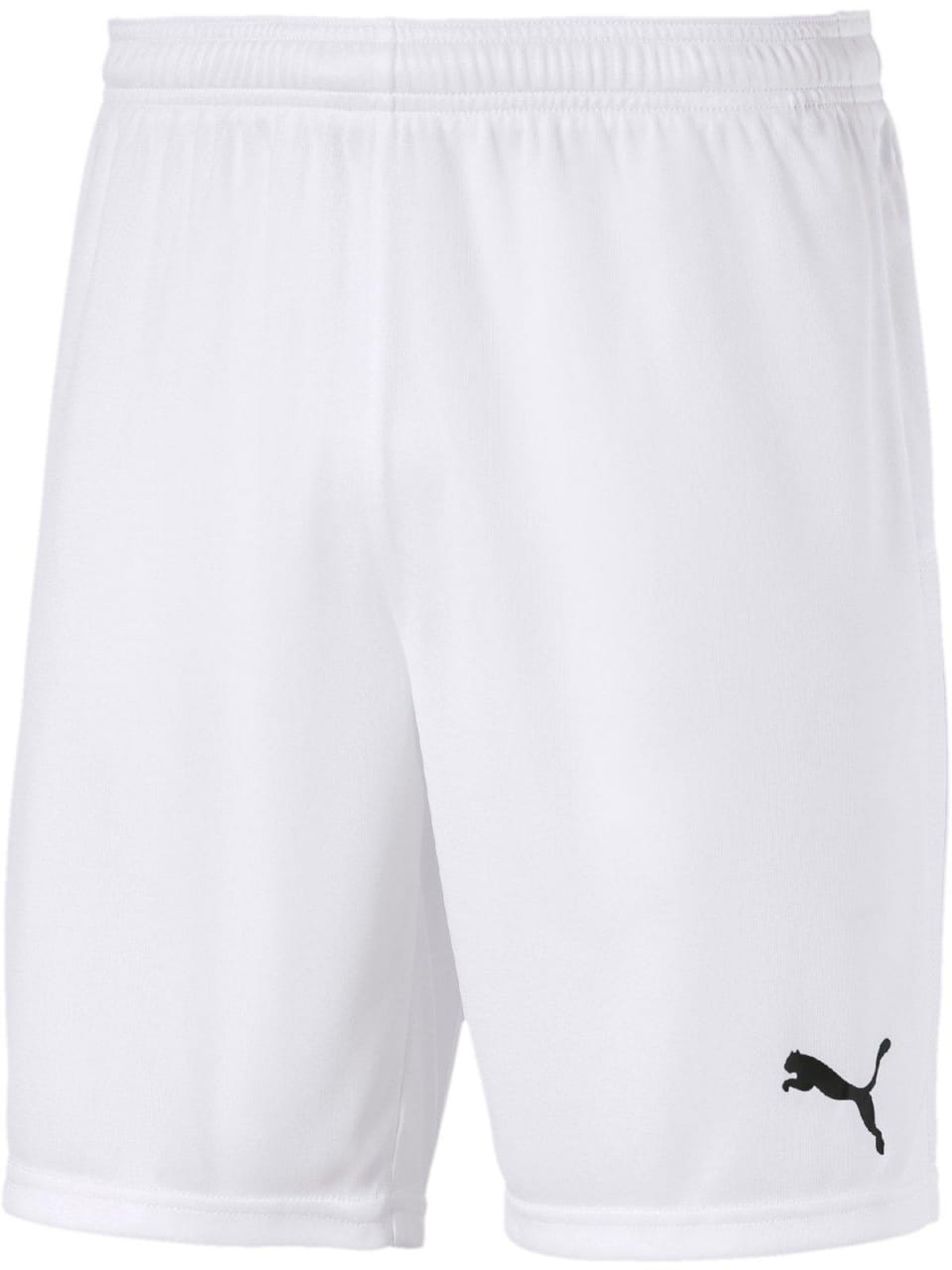 Puma Teamgoal 23 Knit Shorts-White product image 1, provided for visual reference and product detail review