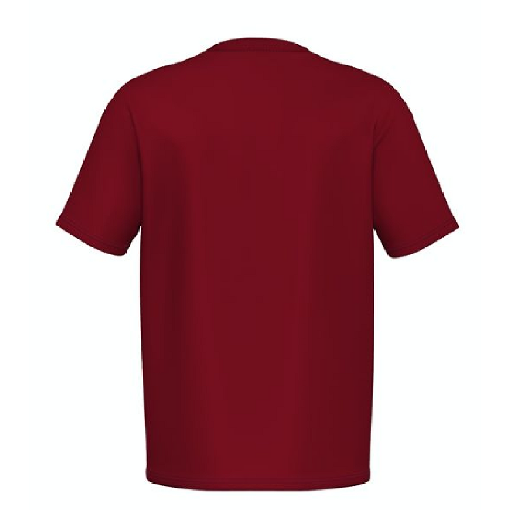 Kappa Men Authentic Logo Bant T-Shirt - RED product image 4, provided for visual reference and product detail review