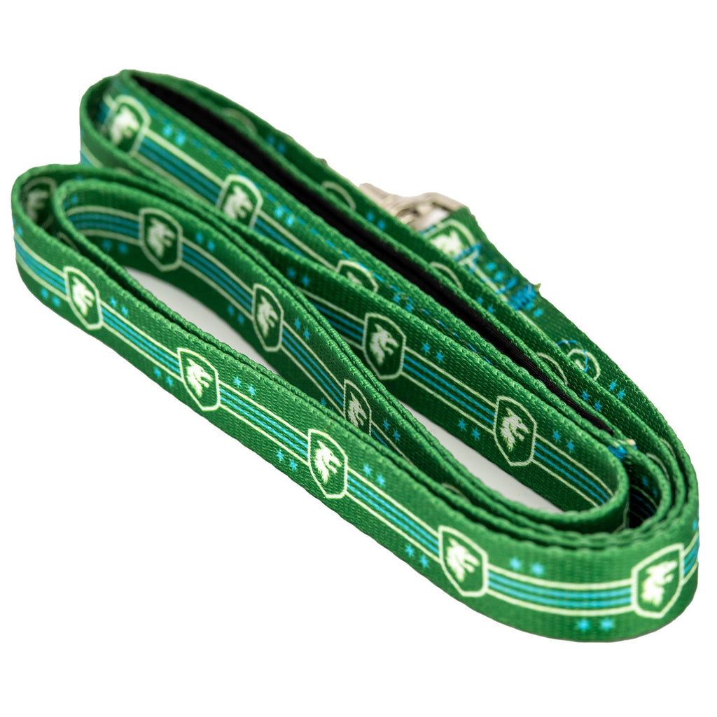 Chicago Hounds Dog Leash 3/4"W x 6'L product image 1, provided for visual reference and product detail review