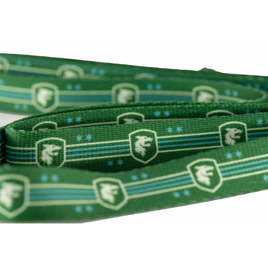 Chicago Hounds Dog Leash 3/4"W x 6'L product image 2, provided for visual reference and product detail review