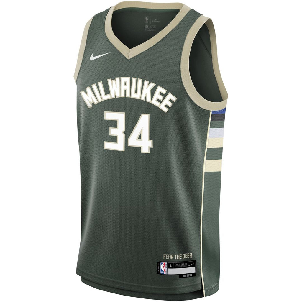 Milwaukee Bucks Giannis Antetokounmpo Nike Youth Swingman product image 2