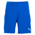 Puma Teamfinal 21 Knit Shorts-Royal product image 1, provided for visual reference and product detail review