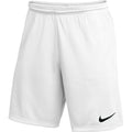 Nike Men Dri-FIT Park III Shorts-White product image 1, provided for visual reference and product detail review