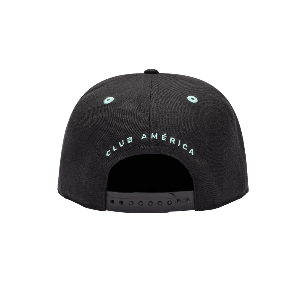 FI CLUB AMERICA ICE CREAM Snapback HAT product image 4, provided for visual reference and product detail review