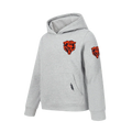 Chicago Bears Pro Standard Youth Grey Classic Chenille Fleece Hoodie product image 1, provided for visual reference and