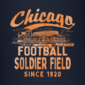 Chicago Bears Soldier Field Sticker 3 in. x 3 in. product image 1, provided for visual reference and product detail review