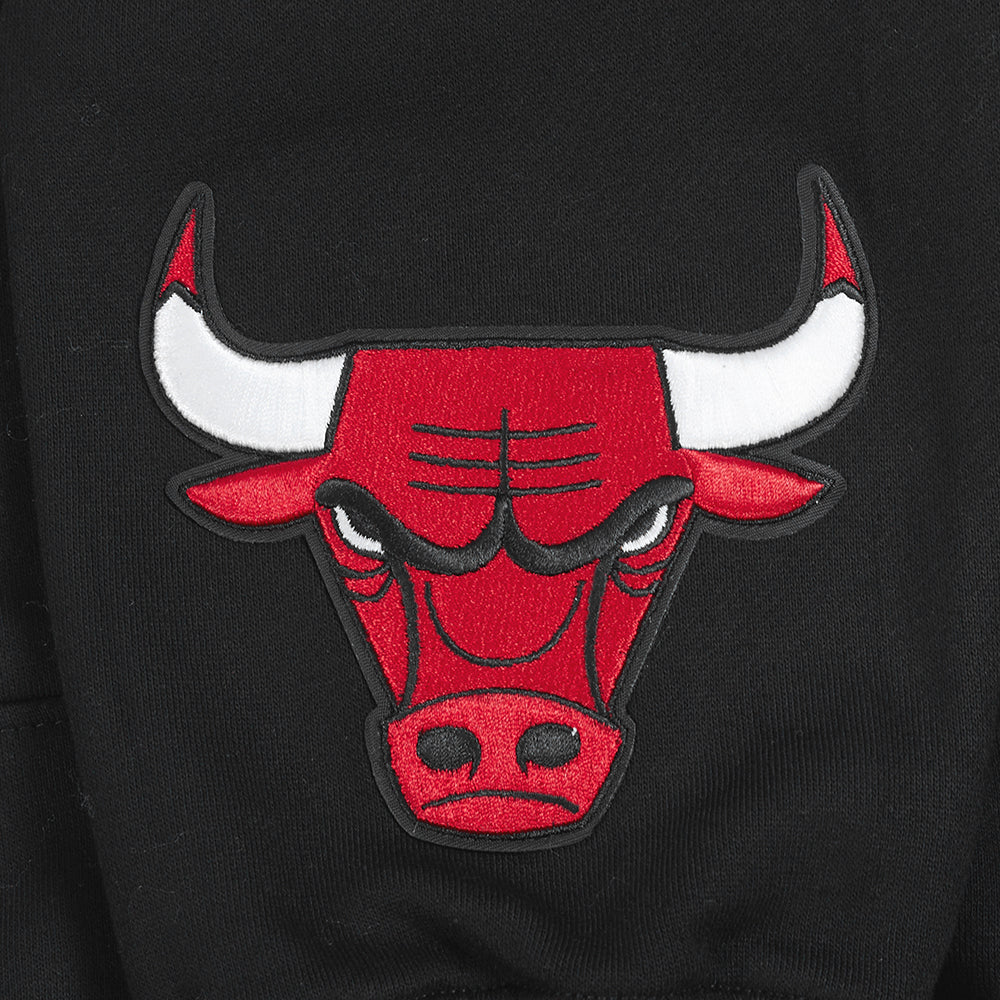 Chicago Bulls Pro Standard Black Wingspan Hoodie product image 6, provided for visual reference and product detail review