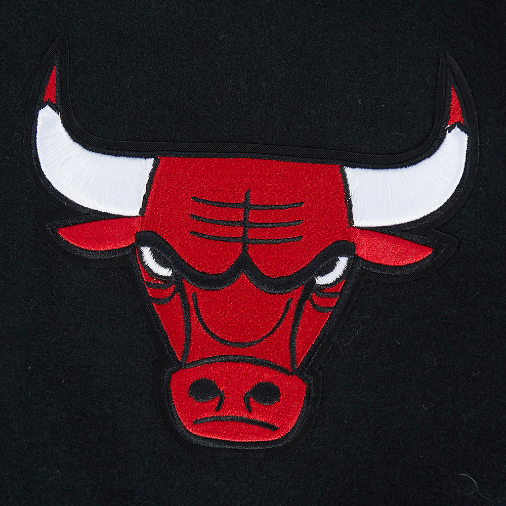 Chicago Bulls Pro Standard City Arch Wool Varsity Jacket product image 4, provided for visual reference and product detail