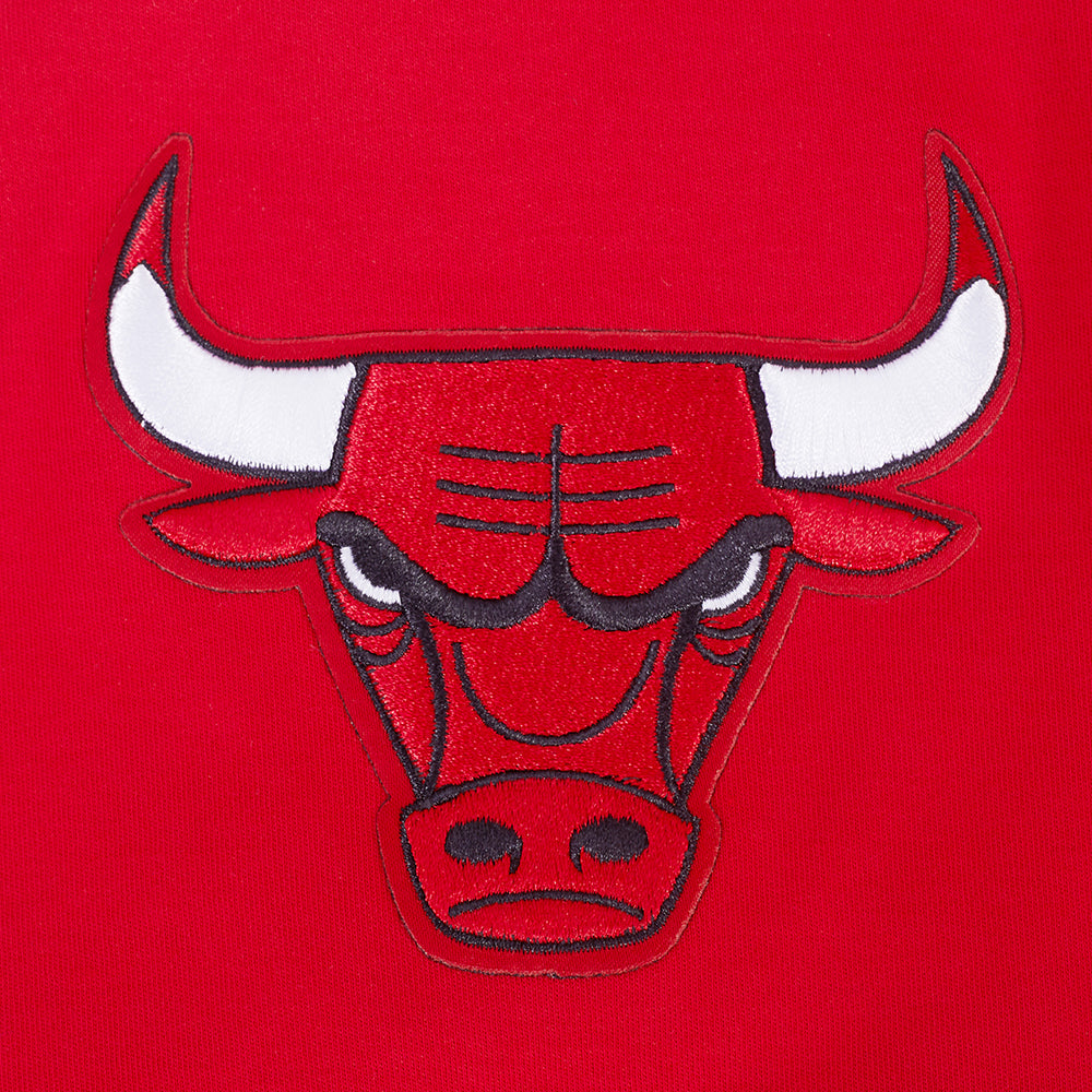 Chicago Bulls Pro Standard Men Red Retro Classic T-Shirt product image 5, provided for visual reference and product detail