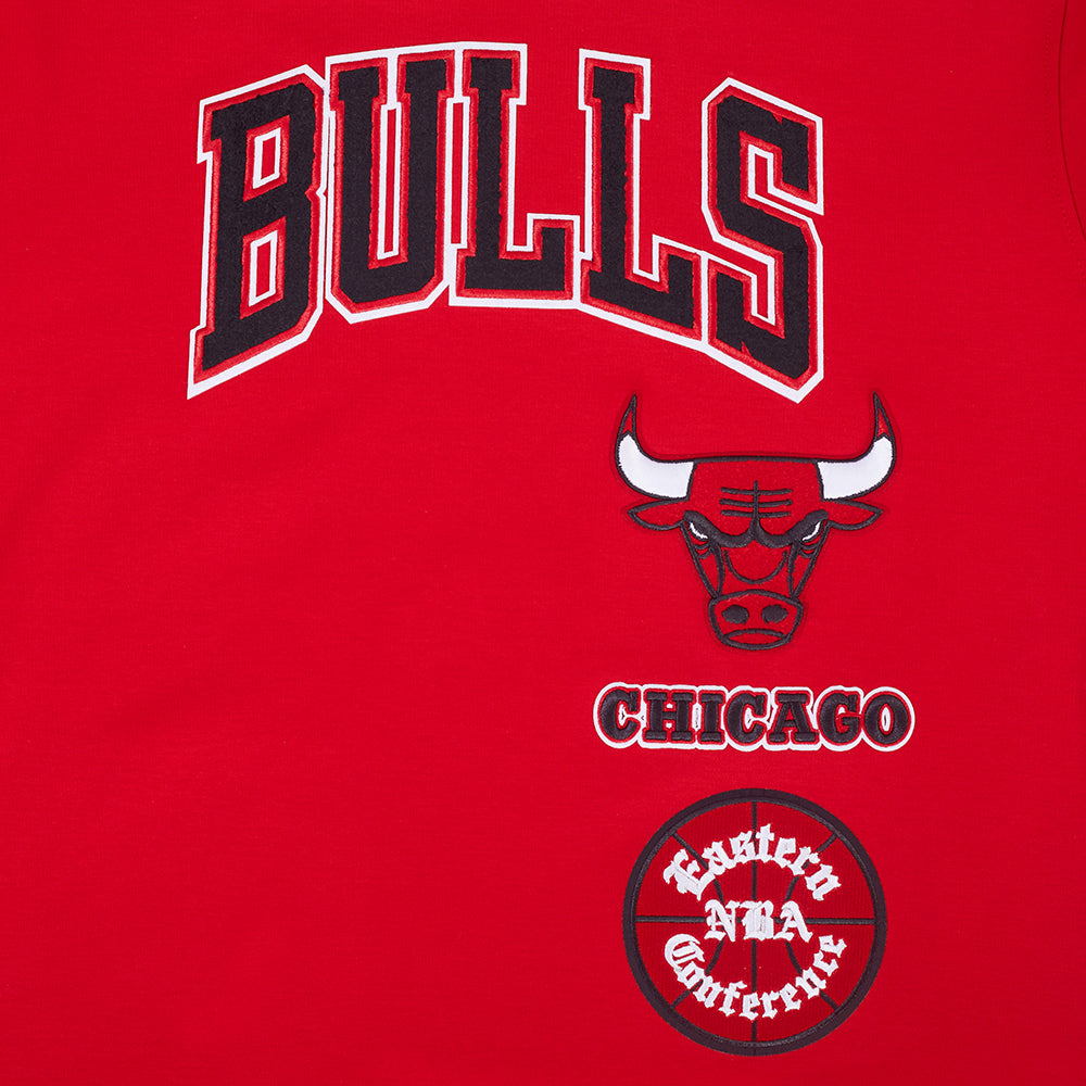 Chicago Bulls Pro Standard Men Red Retro Classic T-Shirt product image 3, provided for visual reference and product detail