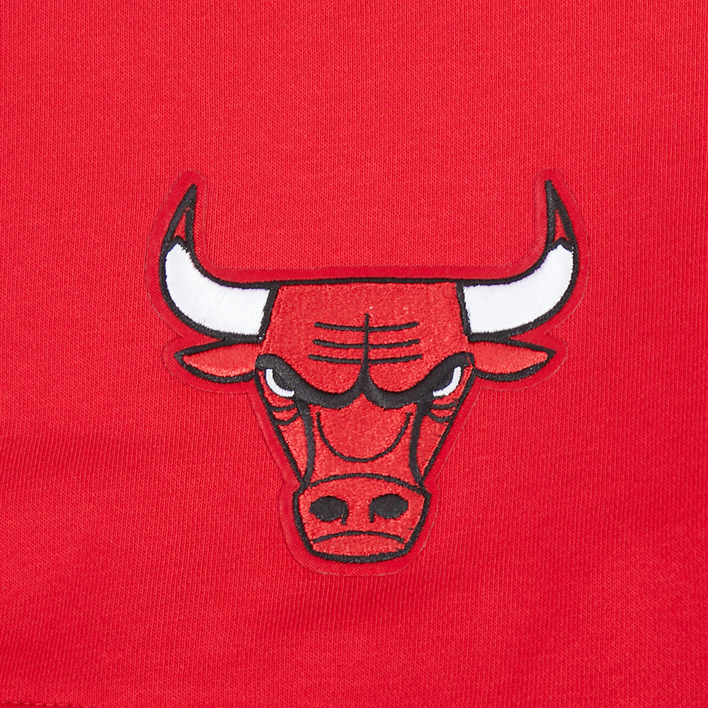 Chicago Bulls Pro Standard Women Red Wingspan Crewneck Sweatshirt product image 3, provided for visual reference and product