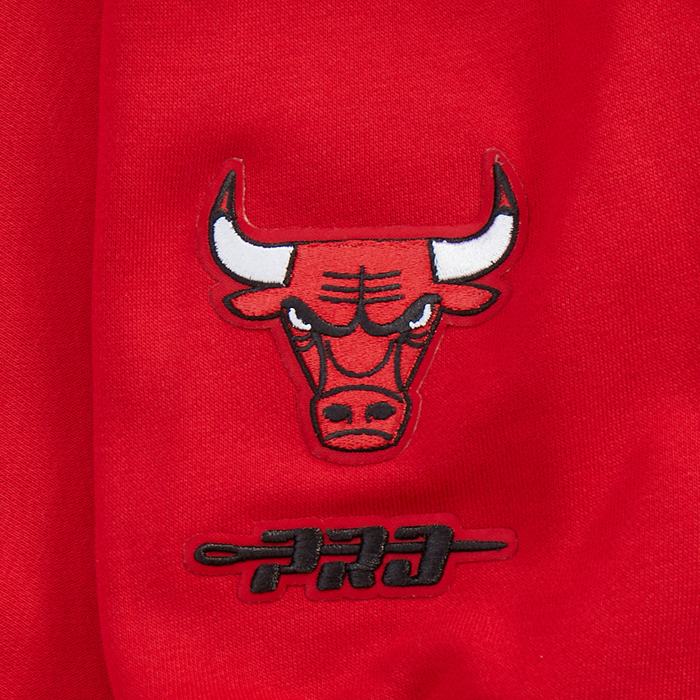 Chicago Bulls Pro Standard Women Red Wingspan Crewneck Sweatshirt product image 4, provided for visual reference and product