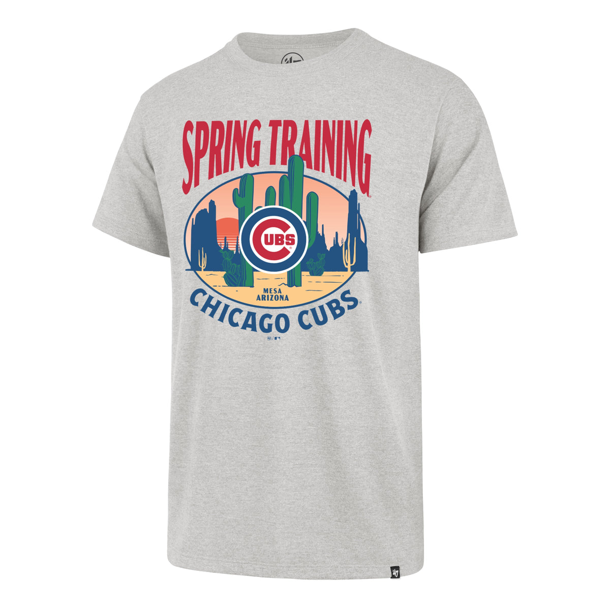 Chicago Cubs Spring Training 2026 '47 Grey Franklin T-Shirt product image 1, provided for visual reference and product