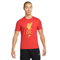 Nike Liverpool FC Men Soccer T-Shirt-Red product image 1, provided for visual reference and product detail review