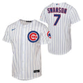 Dansby Swanson Chicago Cubs Nike Youth Home Run Pinstripe Jersey product image 1, provided for visual reference and product