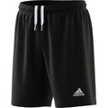 Adidas Youth Entrada 22 Shorts-Black product image 1, provided for visual reference and product detail review