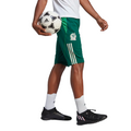 Adidas Mexico Tiro 23 1/2 Pants product image 1, provided for visual reference and product detail review