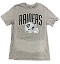 Nike Las Vegas Raiders Team Athletic T-Shirt - Gray product image 1, provided for visual reference and product detail review
