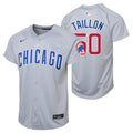 Jameson Taillon Chicago Cubs Nike Youth Road Grey Limited Jersey product image 1, provided for visual reference and product