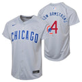 Pete Crow-Armstrong Chicago Cubs Nike Youth Road Grey Limited Jersey product image 1, provided for visual reference and