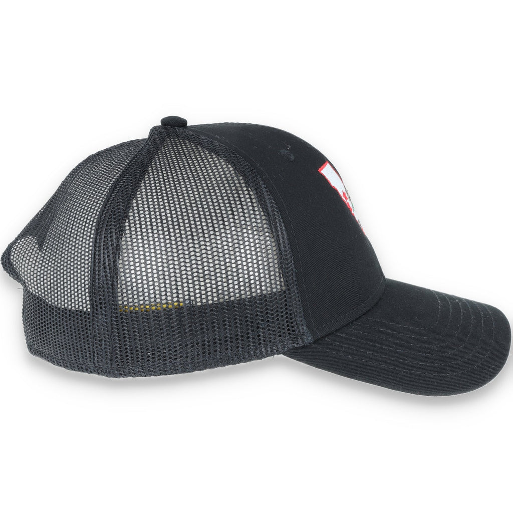 THE COLISEUM CALIFORNIA STATE BEAR TRUCKER Snapback HAT- BLACK/BLACK product image 4, provided for visual reference and