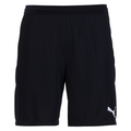 Puma Teamfinal 21 Knit Shorts-Black product image 1, provided for visual reference and product detail review