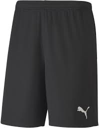 Puma Teamgoal 23 Knit Shorts-Black product image 1, provided for visual reference and product detail review