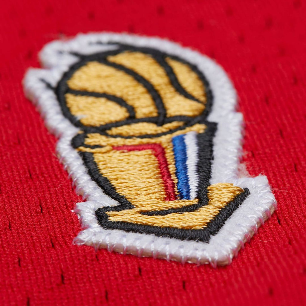 Chicago Bulls Michael Jordan Mitchell & Ness 1996/97 product image 5