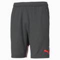 Puma IndividualCUP Men Shorts product image 1, provided for visual reference and product detail review