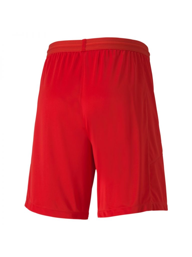 Puma Teamfinal 21 Knit Shorts-Red product image 2, provided for visual reference and product detail review