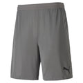 Puma Teamfinal 21 Knit Shorts-Gray product image 1, provided for visual reference and product detail review