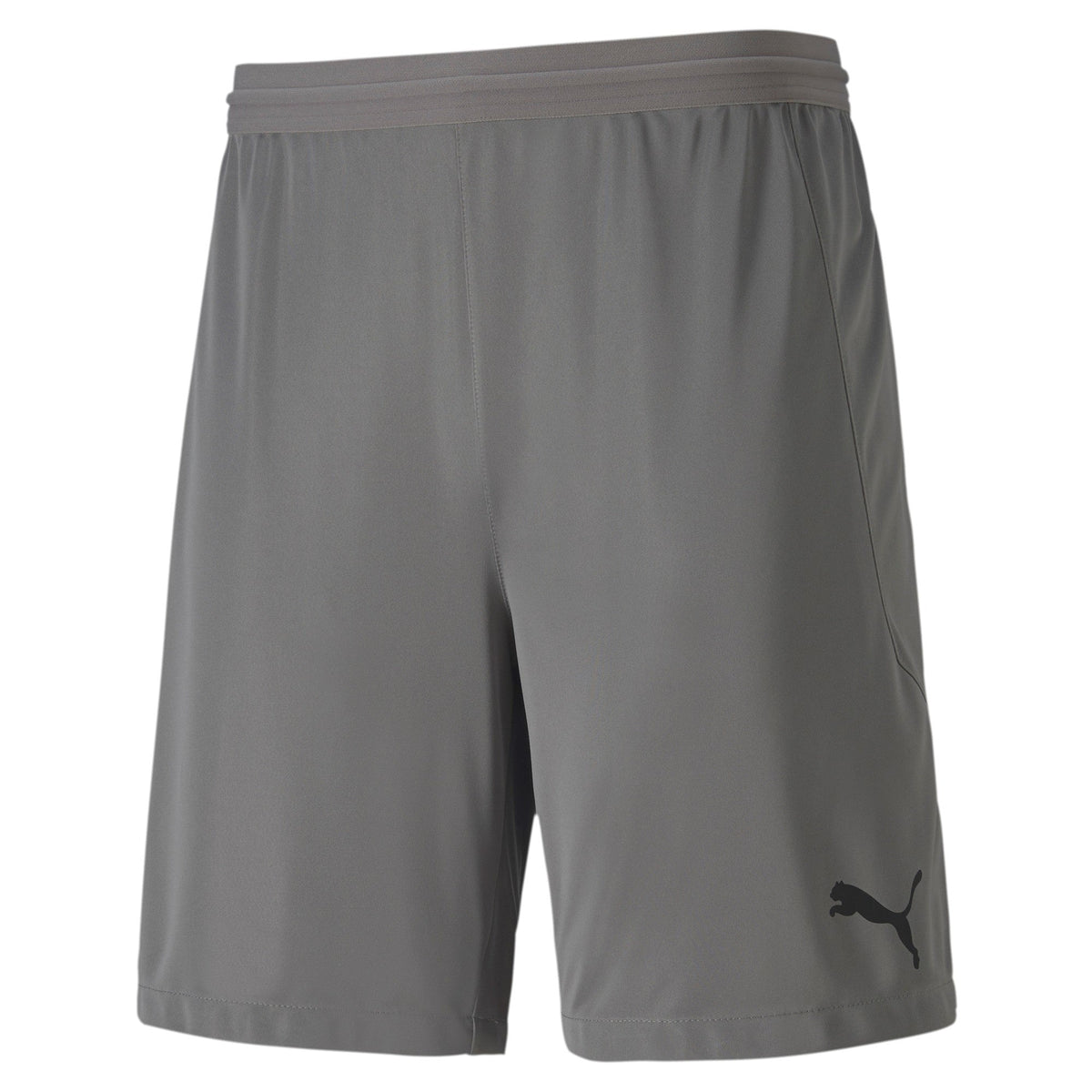 Puma Teamfinal 21 Knit Shorts-Gray product image 1, provided for visual reference and product detail review