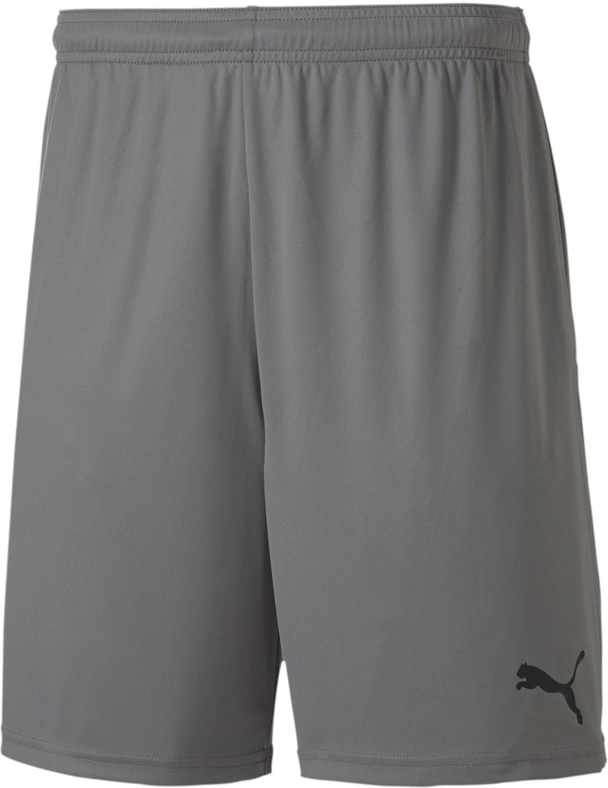 Puma Teamgoal 23 Knit Shorts-Grey product image 1, provided for visual reference and product detail review