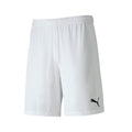 Puma Teamfinal 21 Knit Shorts-White product image 1, provided for visual reference and product detail review