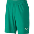 Puma Teamgoal 23 Knit Shorts-Green product image 1, provided for visual reference and product detail review