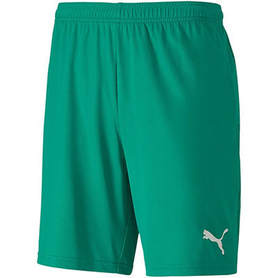 Puma Teamgoal 23 Knit Shorts-Green product image 1, provided for visual reference and product detail review